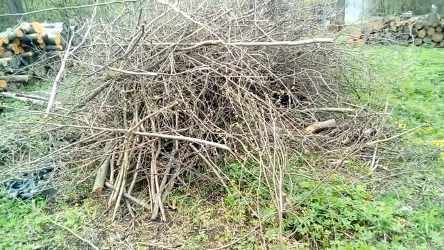 Как сжечь сырые ветки. Как избавиться от веток быстро. смотреть онлайн