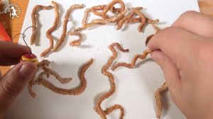 ⭐ Сушеный Нереис для ловли Пеленгаса ? морской лиманский червь