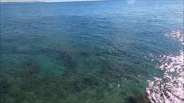 Сарган разрывает воблеры! Бешеный клев! ? Рыбалка на Кипре ?? Часть 70 Сезон 2022 смотреть онлайн