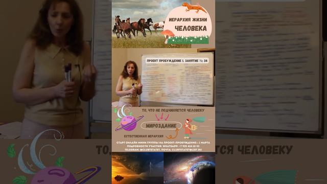 Соблюдение законов мироздания: не биться с миром - психолог Ирина Лебедь