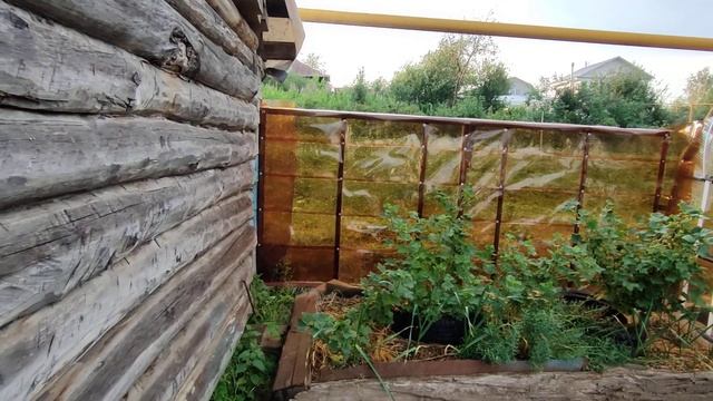 Забор из пластиковых ПЭТ пивных кег. смотреть онлайн