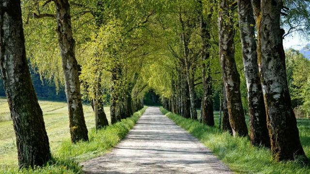 Русский язык. Начало. У3_25 смотреть онлайн