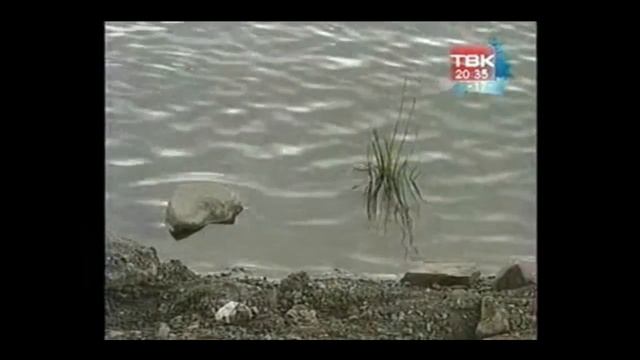 вода метрология красноярск смотреть онлайн