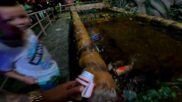 Океанариум AiLand. Наша прогулка. Ловим рыбу в океанариуме? Океанариум в Казахстане, Нур-Султан.