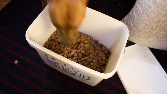 Корм Империал-АС | кормление собак | сухой корм | российский корм