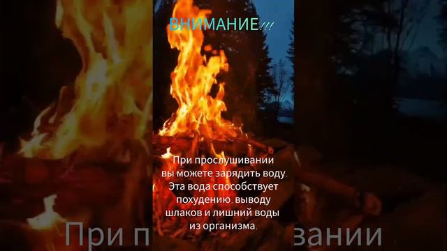 Видео заряжено смотреть онлайн