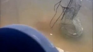 Рыбалка на реке Урал Башкирия!!!