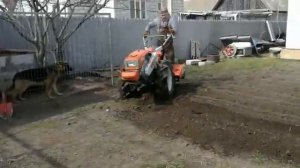 Мотоблок КУБОТА на целине