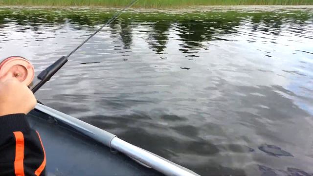 Dario тягает окуней смотреть онлайн