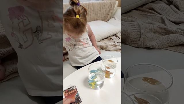 Обзор на игрушку мир динозавров, растущие в воде смотреть онлайн