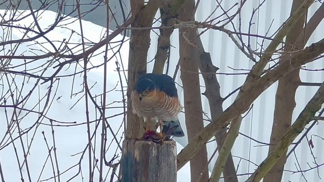 11-03-2024 смотреть онлайн