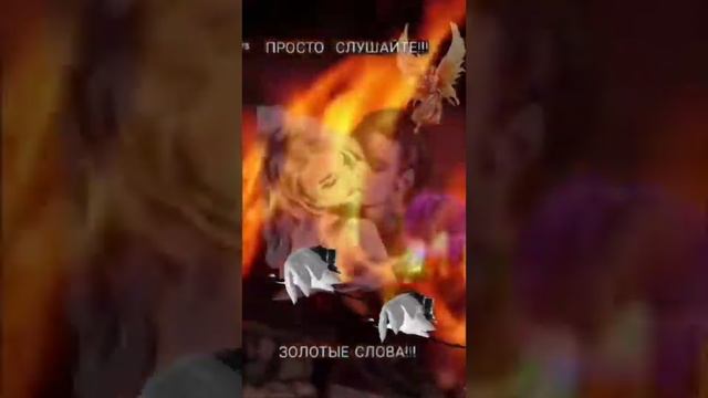Цитата.Просто послушайте пожалуйста золотые слова смотреть онлайн