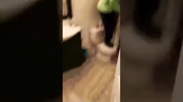 Как выгнать крысу из дома смотреть онлайн