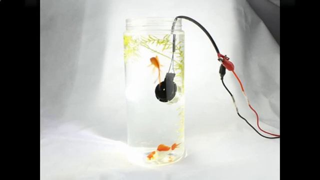 Светодиодные лампы h7 для автомобилей смотреть онлайн