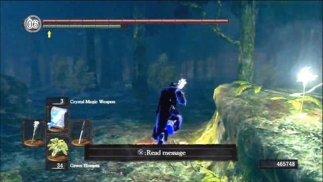 Dark Souls PvP - Forest Hunters Protectors of the Woods смотреть онлайн