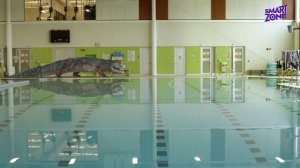 Дино Дана ( Dino Dana) анонс на Smartzone