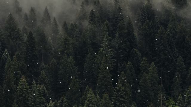 Почему Тонкс Выбрала Римуса Люпина? смотреть онлайн