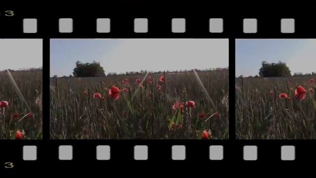 2018_06_03_СТЕПЬ ВЕЧЕРОМ_СТАВРОПОЛЬЕ.mp4 смотреть онлайн