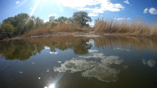 Ерши. Колян на рыбалке смотреть онлайн