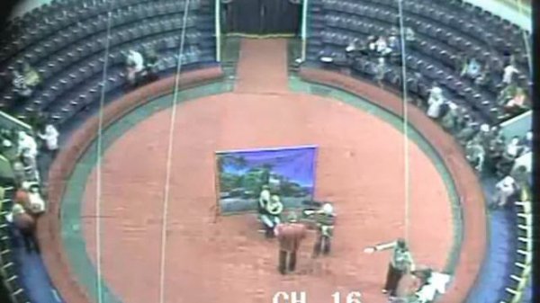 RigasCirks2012-01-28.mpg