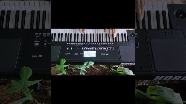 KORG PA300 АЛЕЛУЯ смотреть онлайн