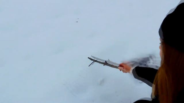 VLOG : ГОРНЫЕ КОЗЛЫ | ALINA QN смотреть онлайн