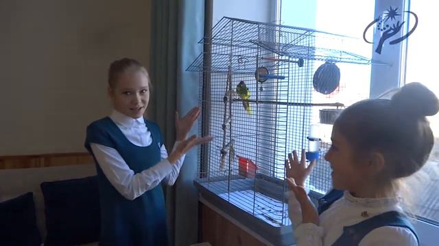 девочки о школе леди смотреть онлайн