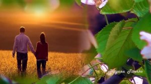 О любви поет саксофон Андрей Обидин   Saxophone sings about love Andrey Obidin