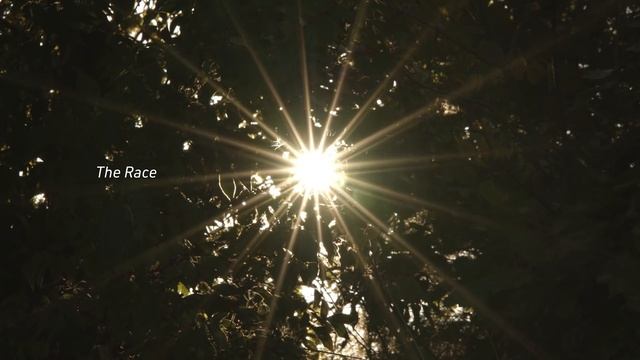 Deceuninck–Quick-Step X Belgian Waffle Ride