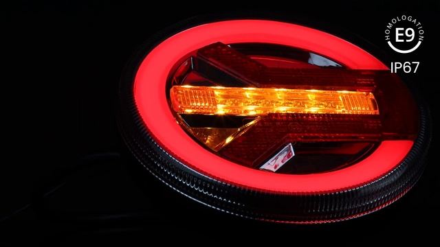 AMiO Rear combination LED lamp Indicator / Stop / Tail / Reverse / Neon P/N: 02371 смотреть онлайн