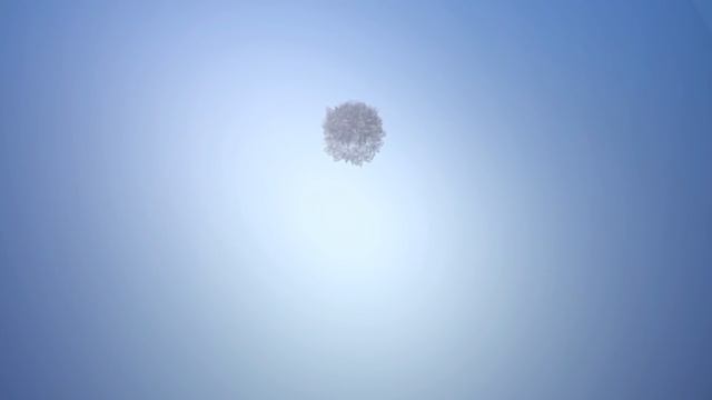 САМЫЙ МОЩНЫЙ ПОДВОДНЫЙ ЯДЕРНЫЙ ВЗРЫВ "WIGWAM" смотреть онлайн