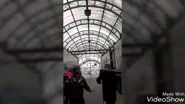 В гостях у Альбиноса смотреть онлайн