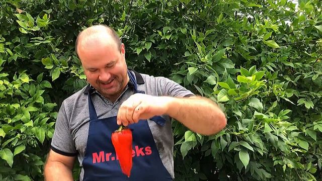 Аджапсандали овощи на углях #еда #салат #мангал смотреть онлайн