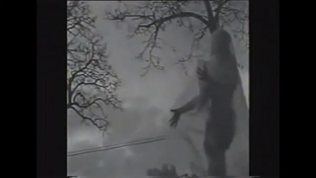 Странное видео на старой кассете смотреть онлайн