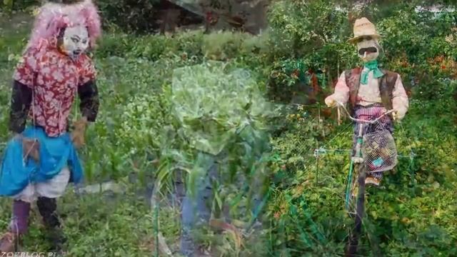 Веселый урожай смотреть онлайн