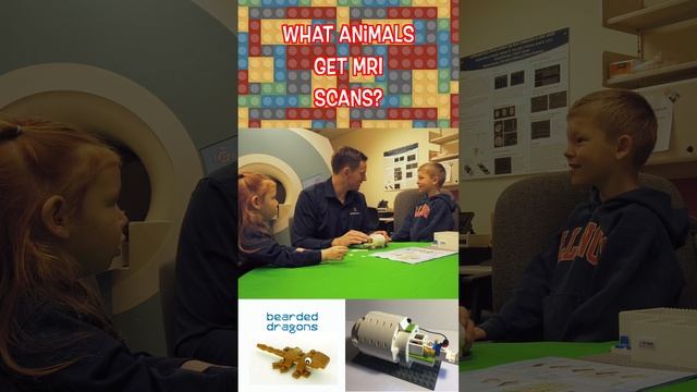 Learning about MRI with LEGO: What animals get MRIs? смотреть онлайн