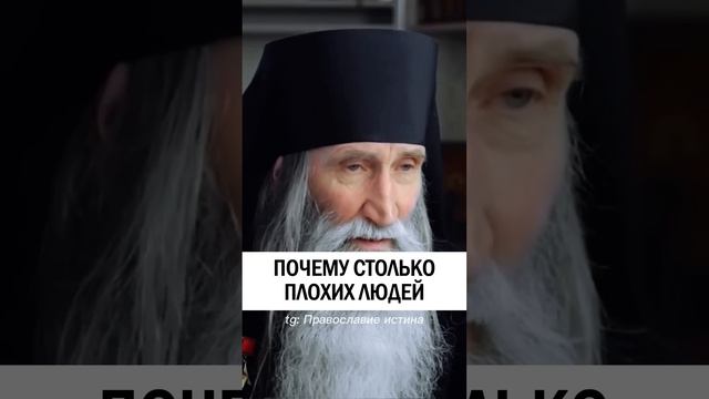 ПОЧЕМУ СТОЛЬКО ПЛОХИХ ЛЮДЕЙ ❗️❓ #христианство #православие #пчела #притча - Инок Киприан Бурков смотреть онлайн
