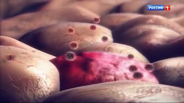 О Самом Главном С Др. Мясниковым 03.10.2023 ч.1 смотреть онлайн