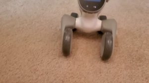 Loona Petbot Power Station Charger!