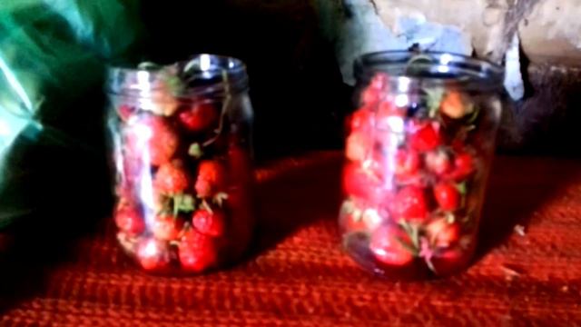 VLOG ПП☼ДНЕВНИК ПИТАНИЯ#2☼День 6☼26 июня смотреть онлайн