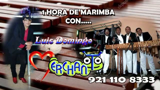 1 HORA DE MUSICA CON LUIS DOMINGO MERCHANT EL GUSANO смотреть онлайн