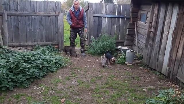 КРАПИВНЫЕ ВЕНИКИ.О ВРЕДЕ КУРЕНИЯ.С ТЕПЛИЦЕЙ ПОКОНЧЕНО. смотреть онлайн