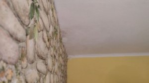 Жёлтые пятна на потолке: решение от простого к сложному