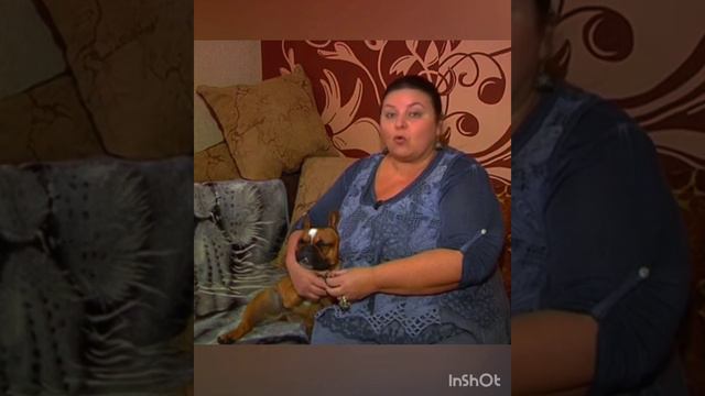 Мы на ТВ. Всё о французском бульдоге! смотреть онлайн