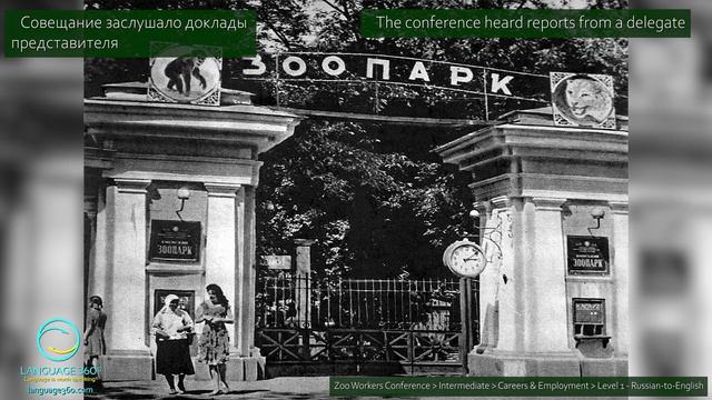 Zoo Workers Conference: Level 1 - Russian-to-English смотреть онлайн