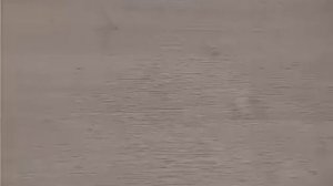 Ламинат. Чистка и защита швов