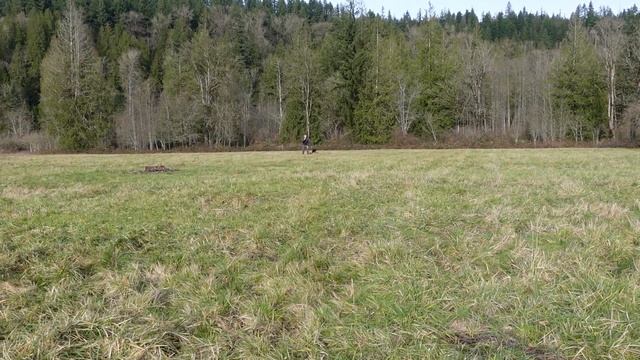 The World Loudest Whistle | Nitecore NSW10 Titanium Full Metal Whistle смотреть онлайн