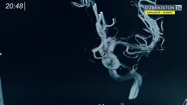 Репортаж ЕМУ (European medical university) смотреть онлайн