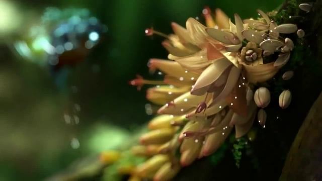 Живые обои для windows7 Vista dreamscene Samsung,видео обои смотреть онлайн