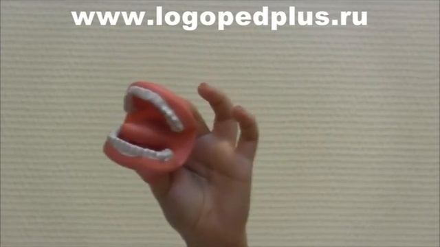Муляж артикуляционного аппарата logopedplus смотреть онлайн